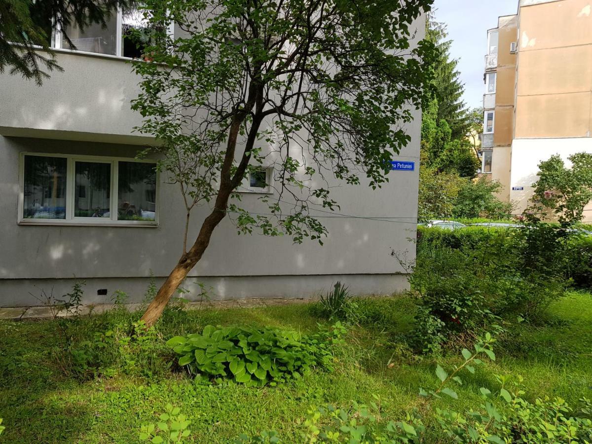 Apartment Petuniei *