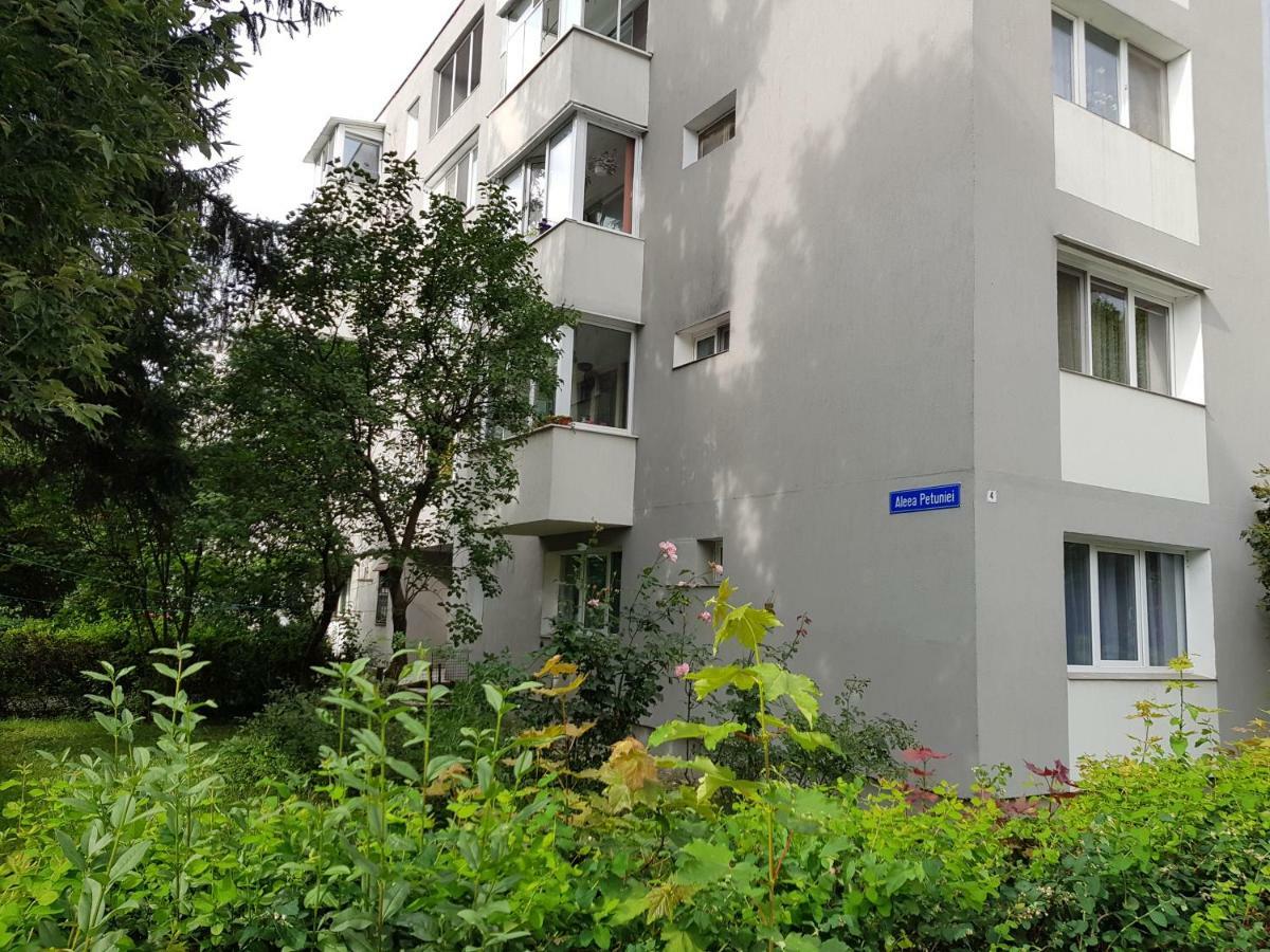 Petuniei Apartment *